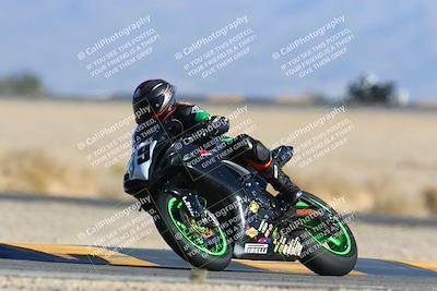 media/Jan-14-2024-SoCal Trackdays (Sun) [[2e55ec21a6]]/Turn 4 Tree of Life (155pm)/